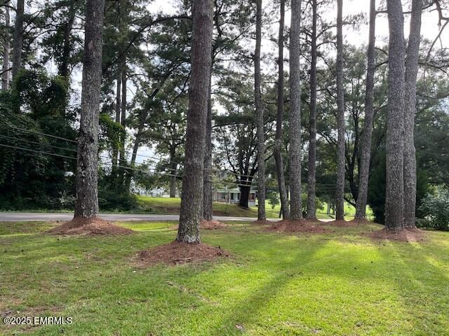 Foto del edificio - 3509 Causeyville Rd