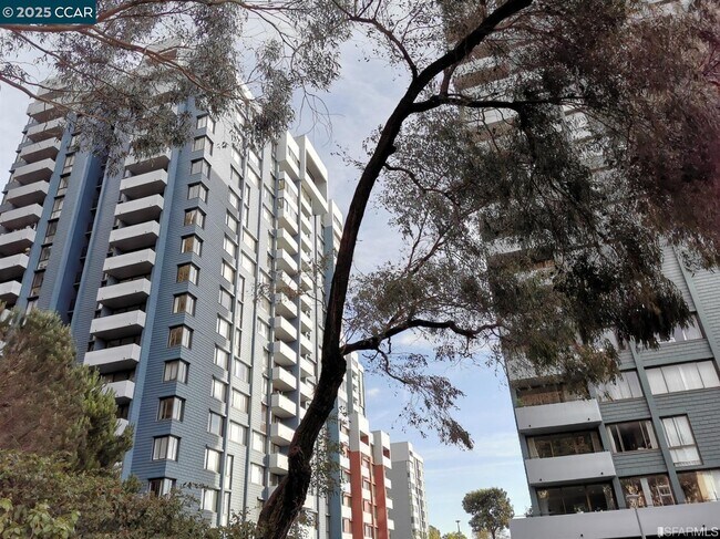 Foto del edificio - 555 Pierce St