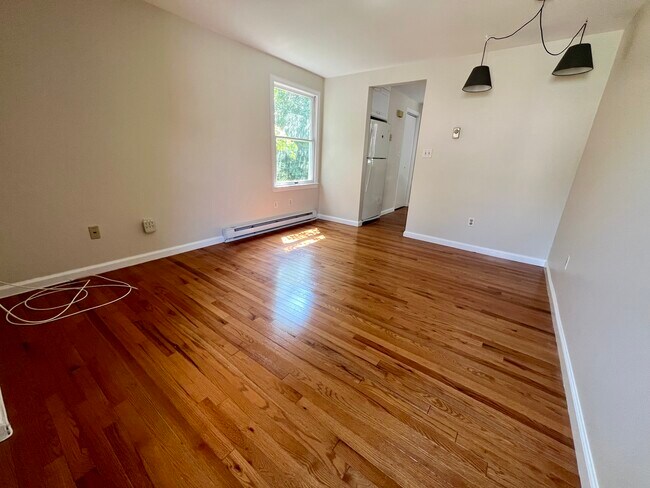 Bright Living Room - 99 Spruce St