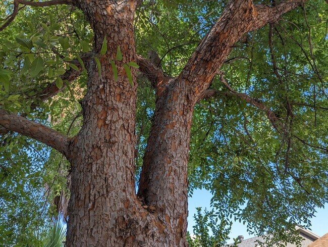 Foto del edificio - Cornell