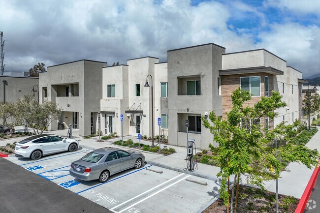 Building Photo - The Meadows Seniors Apartments