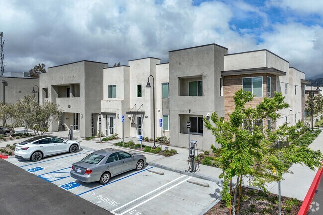 Foto del edificio - The Meadows Seniors Apartments