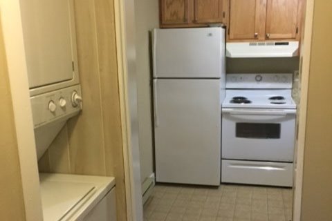 Kitchen/WD - 150 Wellen Ave