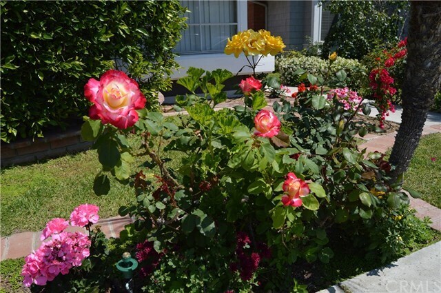 Foto del edificio - 4 Soaring Hawk