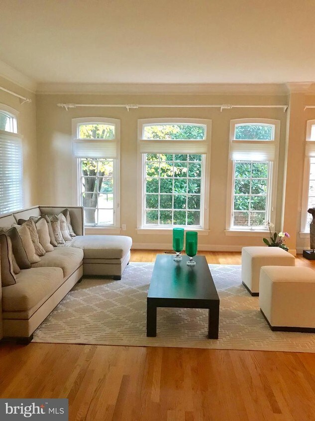 Foto principal - 7405 Old Maple Square