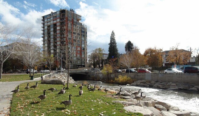 Foto del edificio - 12th floor One Bedroom Condo on the River