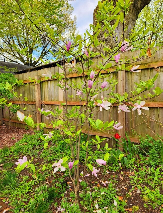 Building Photo - 2200 W 32nd St