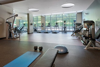 Bell Olmsted Park photo'