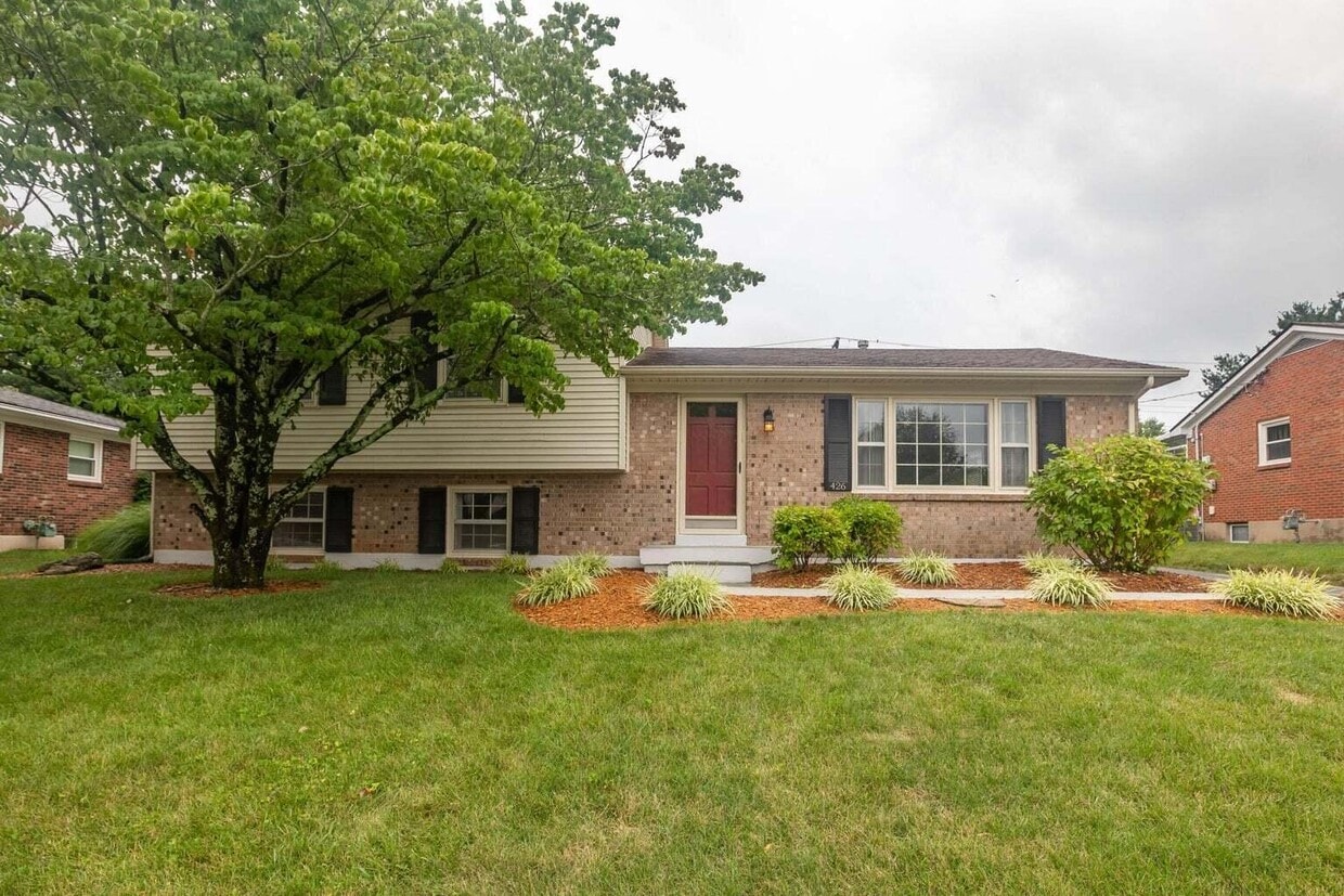 426 Plymouth Dr, Lexington, KY 40503 House Rental in Lexington, KY