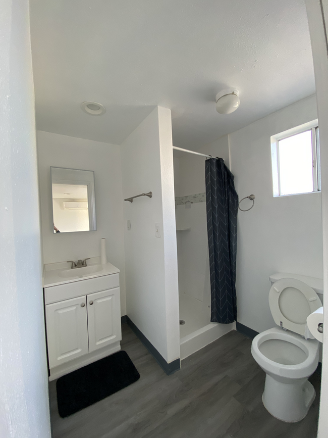 Newly Renovated Studio Bathroom with standing shower - 1911 W 94th St