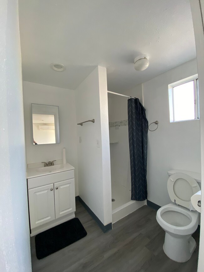 Newly Renovated Studio Bathroom with standing shower - 1911 W 94th St House