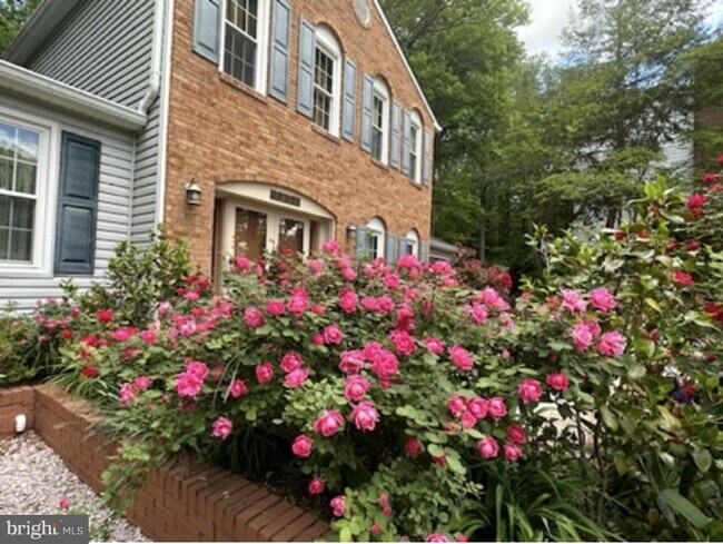 Foto del edificio - 7801 Cliffside Ct