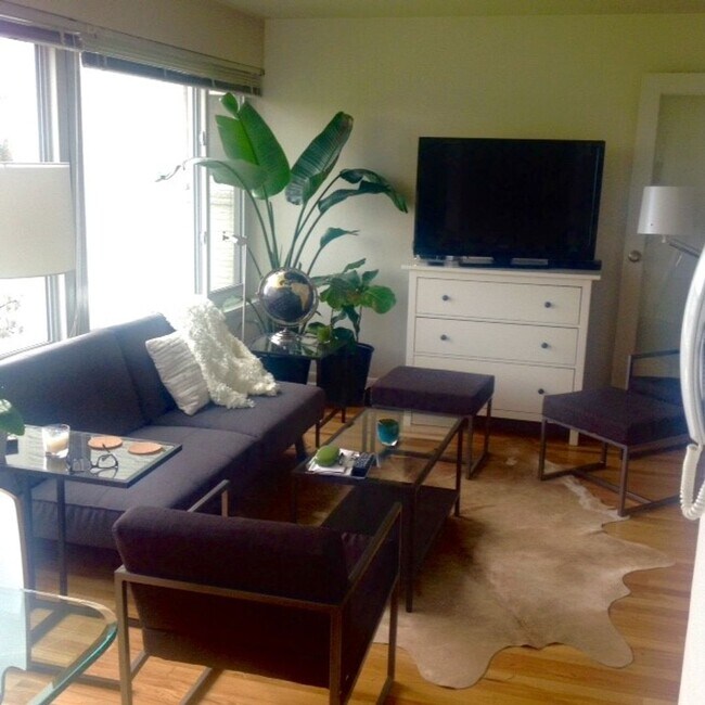 Foto del interior - Blue Dolphin