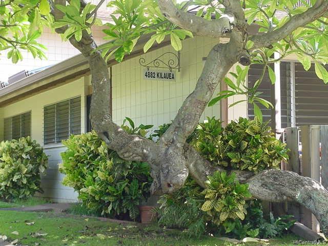Foto del edificio - 4882 Kilauea Ave