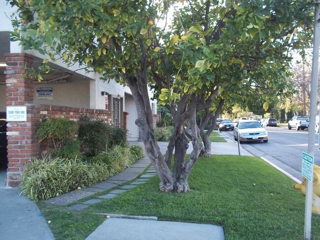 Building Photo - 5929 Laurel Canyon Blvd