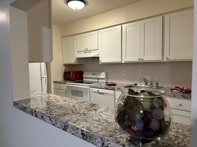 Foto del edificio - 703 Camelback Ct
