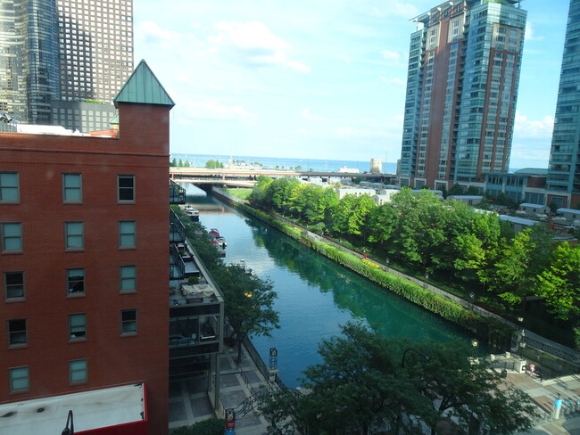 Building Photo - 480 N McClurg Ct