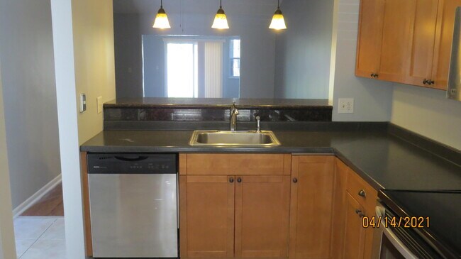Building Photo - 246 Palmetto Ct