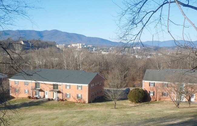 Foto del edificio - Brandon Point Apartments