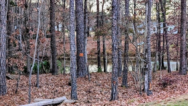 Building Photo - 1024 Red Roses Ave