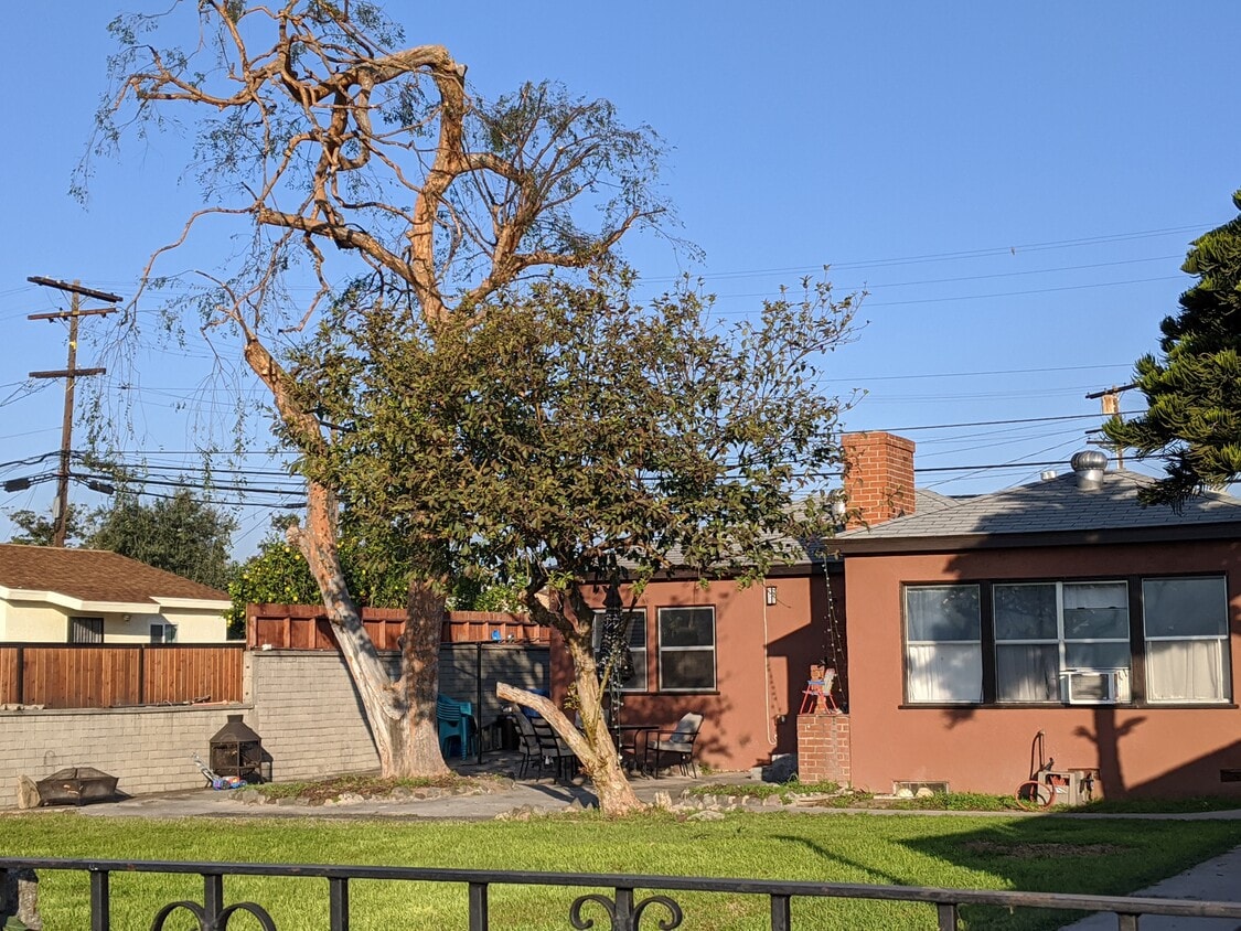 Big front yard - 2705 W Ramona Rd