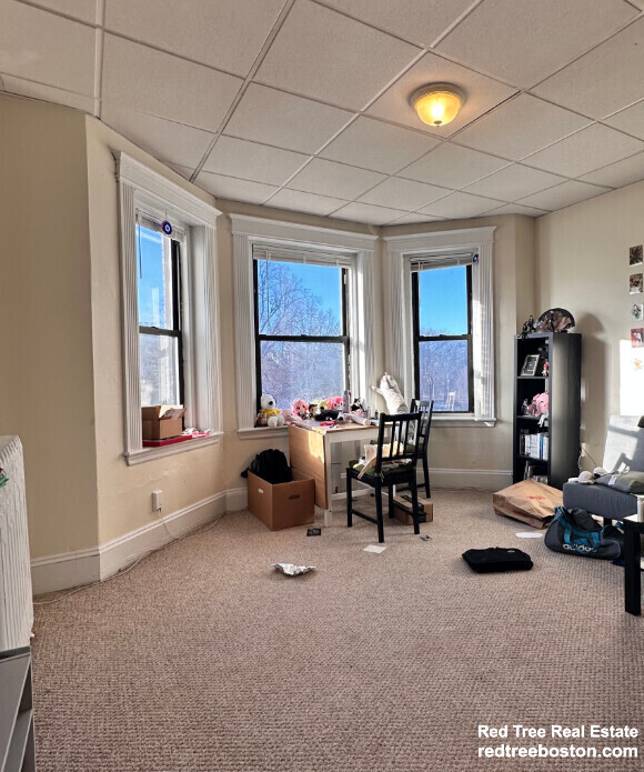 Apt 17 - 411 Huntington Ave