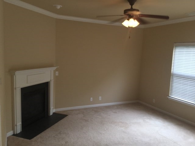 Foto del edificio - 2128 Branch Oak Trl