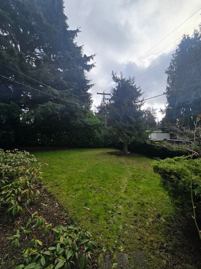 Building Photo - Beautiful 3 bedroom on large lot.