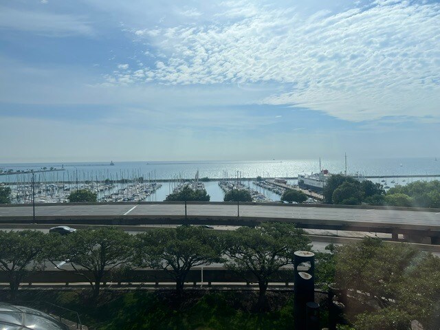 Foto del edificio - 155 N Harbor Dr