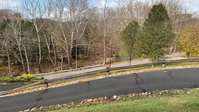 Other view out of window 2 creeks - 501 Millrace Rd