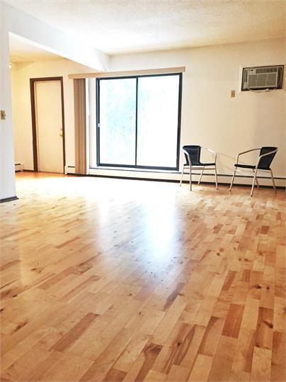 Building Photo - 2 BD / 1 BA Condo In St. Louis Park Avail ...