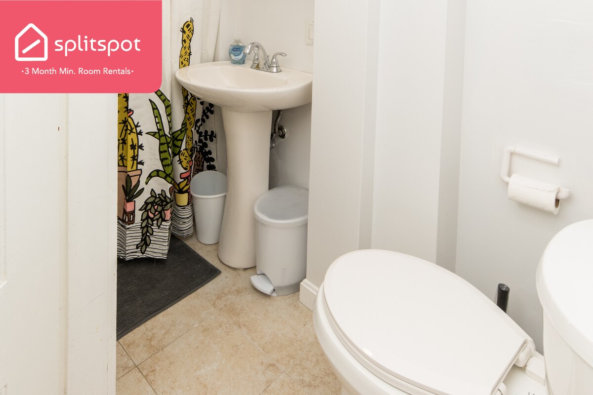 Foto del edificio - Private room in 3 bedroom Cambridge Apartm...