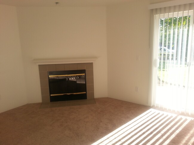 Living Room Fire Place - 4200 Smithers Ave S