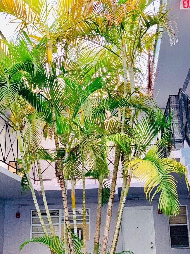 Building Photo - Brand new 2 bedroom 2 bath apartment