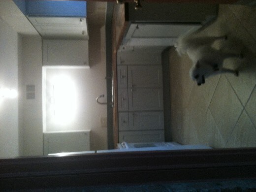 Foto del edificio - Furnished and Gorgeous