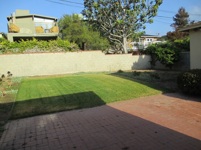 Back yard - 701 Anderson St