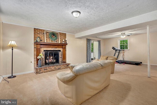 Building Photo - 5481 Camellia Ct