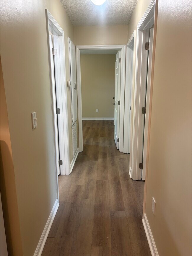 Pasillo con suelo, puertas y pintura nuevos. - 1039 N Lakeshore Dr