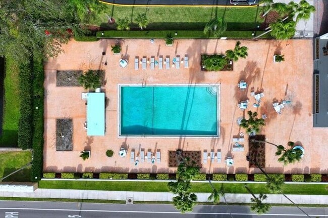 Pool deck - 2401 Bayshore Blvd