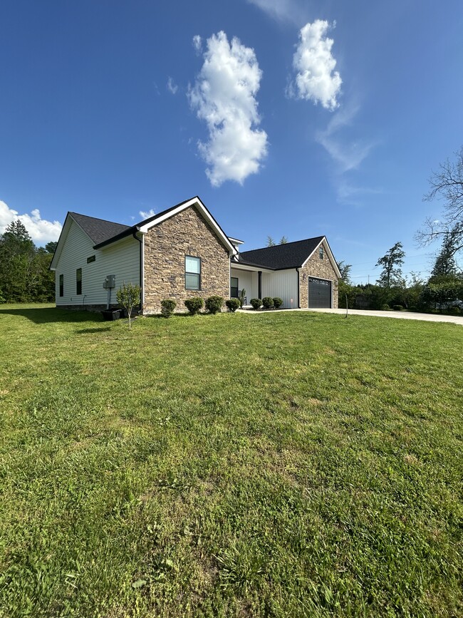Side yard - 964 Ware Rd