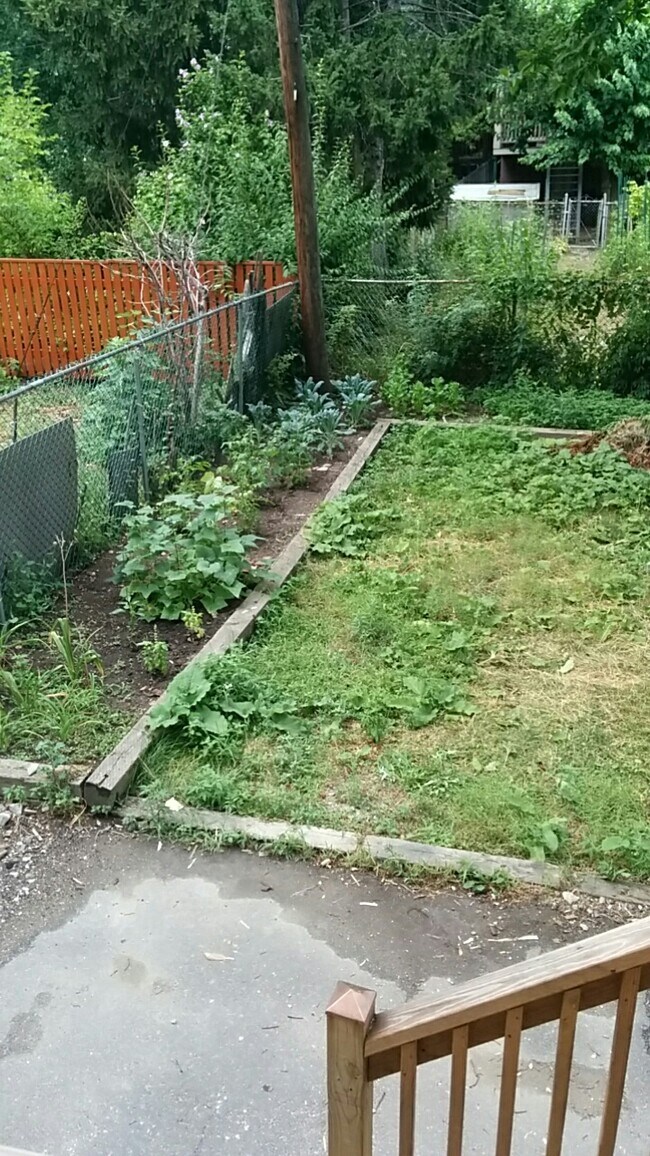 Foto del edificio - 324 Chelsea St