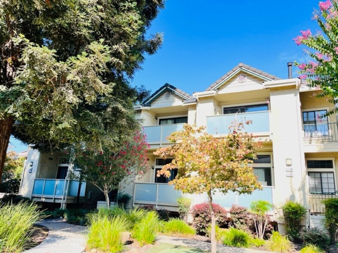 Primary Photo - Move-In Ready, 2BD/2BA, Upper-Level, Singl...