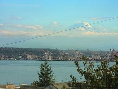 Foto del edificio - Beautiful Magnolia View House