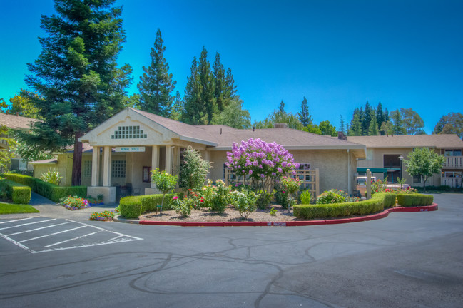 Ceres Plaza Apartments - Apartments in Chico, CA | Apartments.com