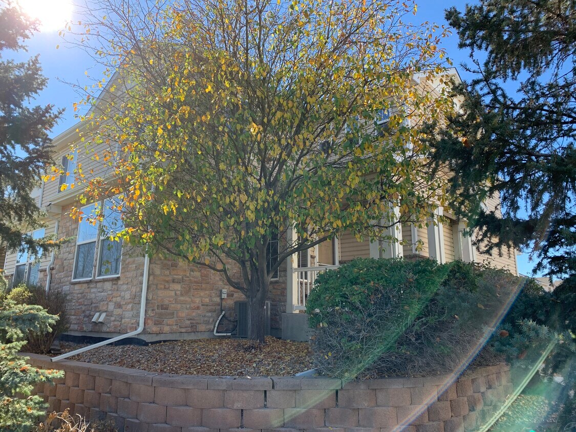 130 Foxglove Dr, Brighton, CO 80601 Townhome Rentals in Brighton CO