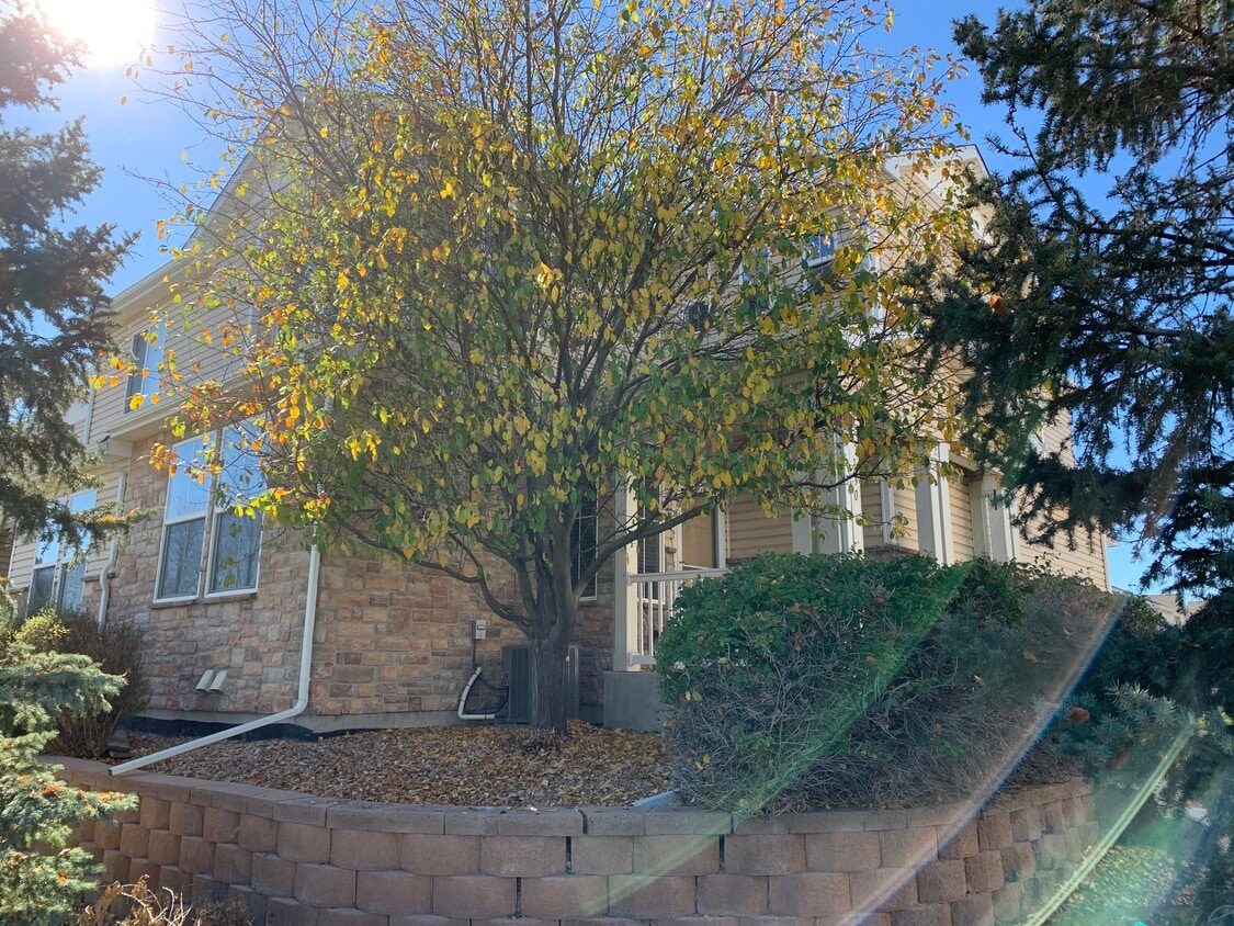 130 Foxglove Dr, Brighton, CO 80601 Townhome Rentals in Brighton CO