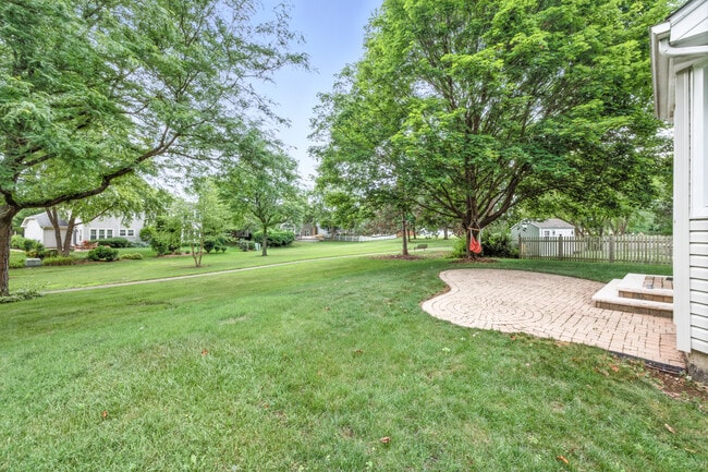 Back yard - 421 Concord Ln