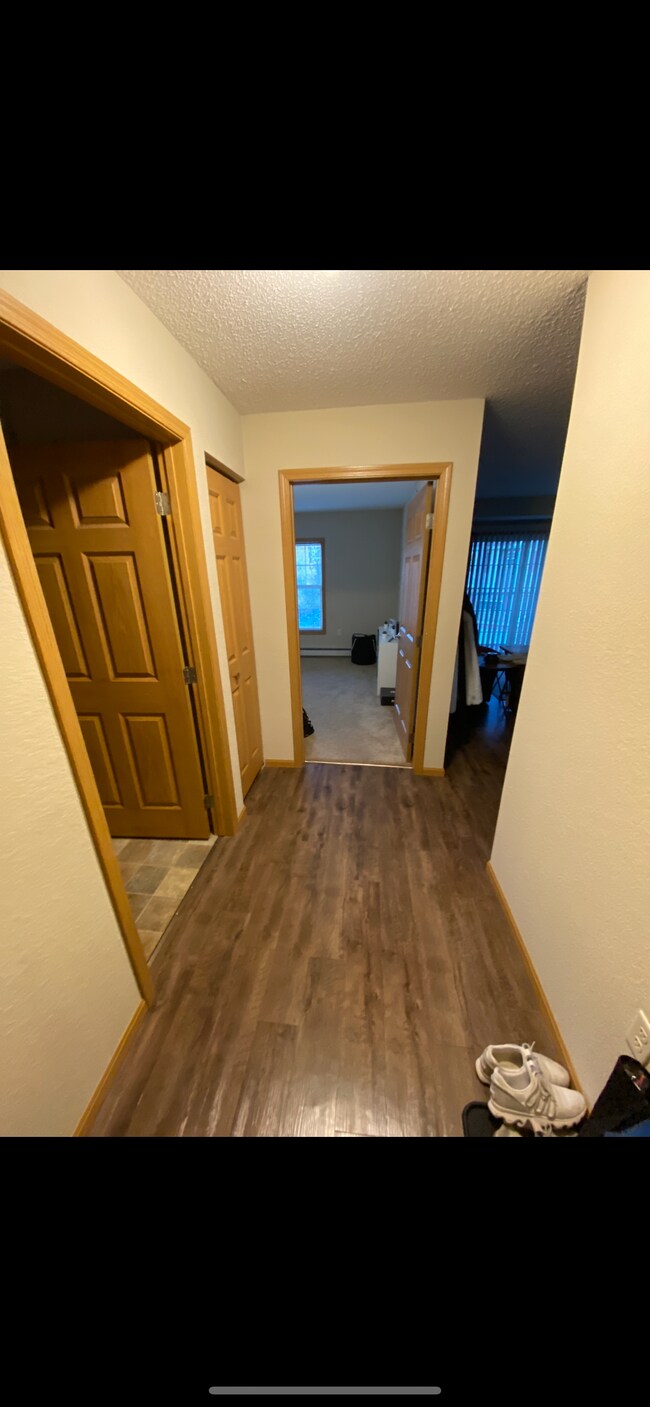 Entrance with bathroom on left, closet, bedroom, and the living room and kitchen to the right - 601 Boulder Dr