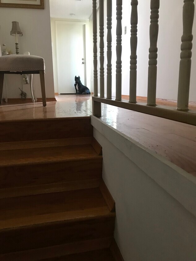 946 Fairview Ave Unit 1, Arcadia, CA 91007 Condo for Rent in Arcadia