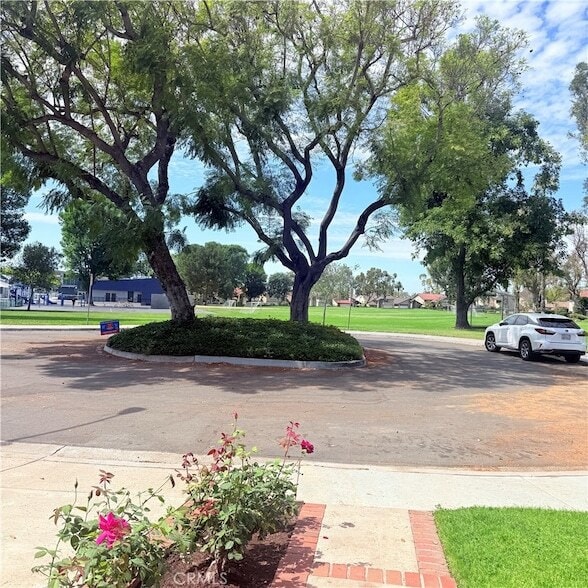 Building Photo - 46 Christamon W